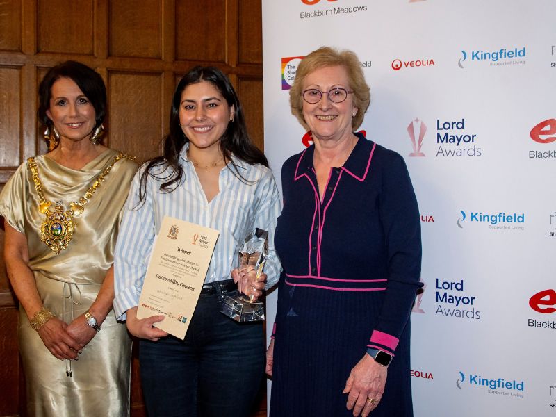 Sustainability Connects being presented an award